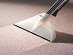 Carpet Cleaning Nassau Long Island Rug Cleaning Suffolk 