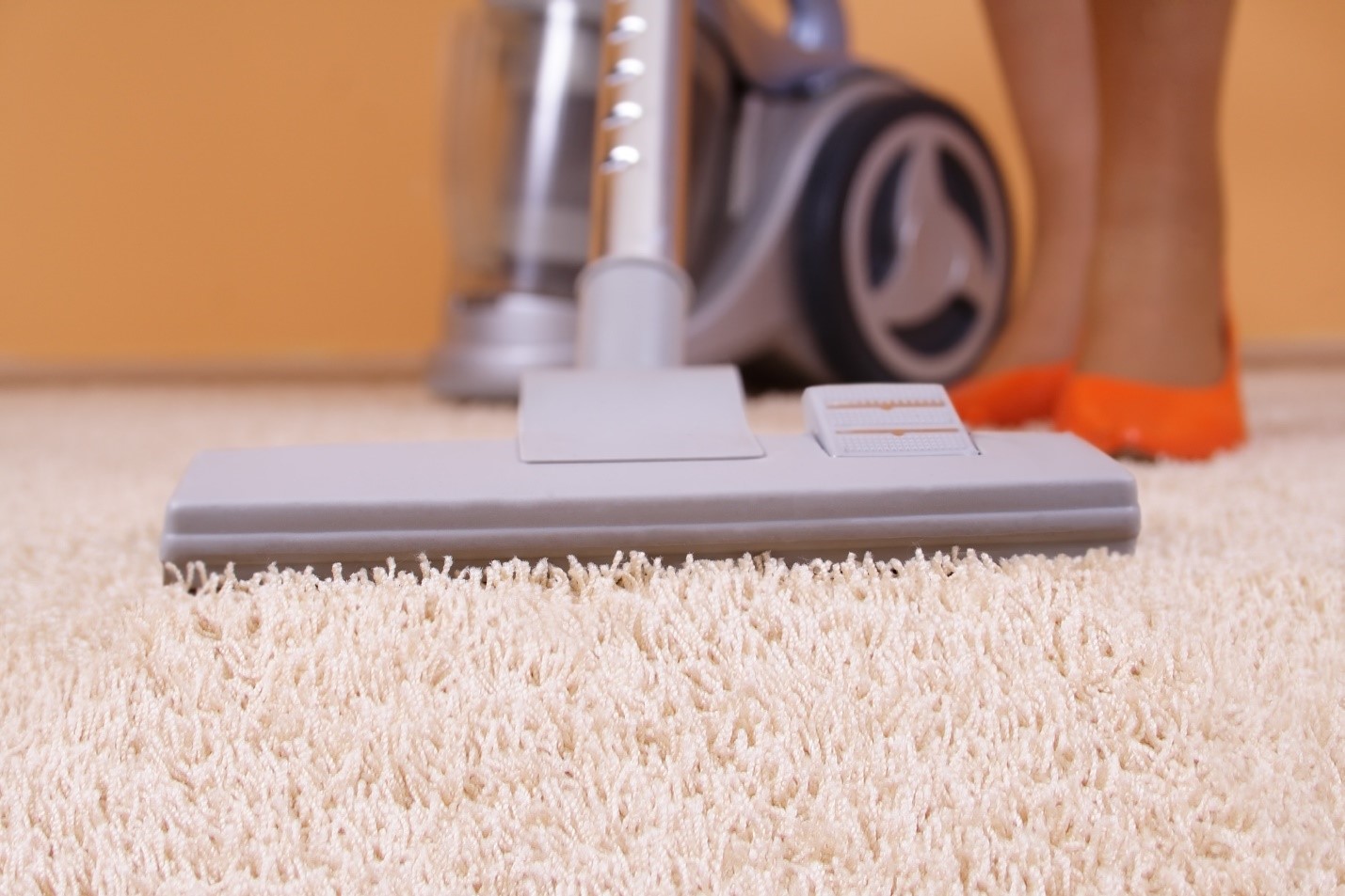 area rug cleaners in Plainview
