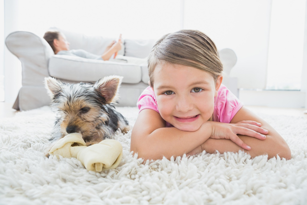 pet odor cleaning company