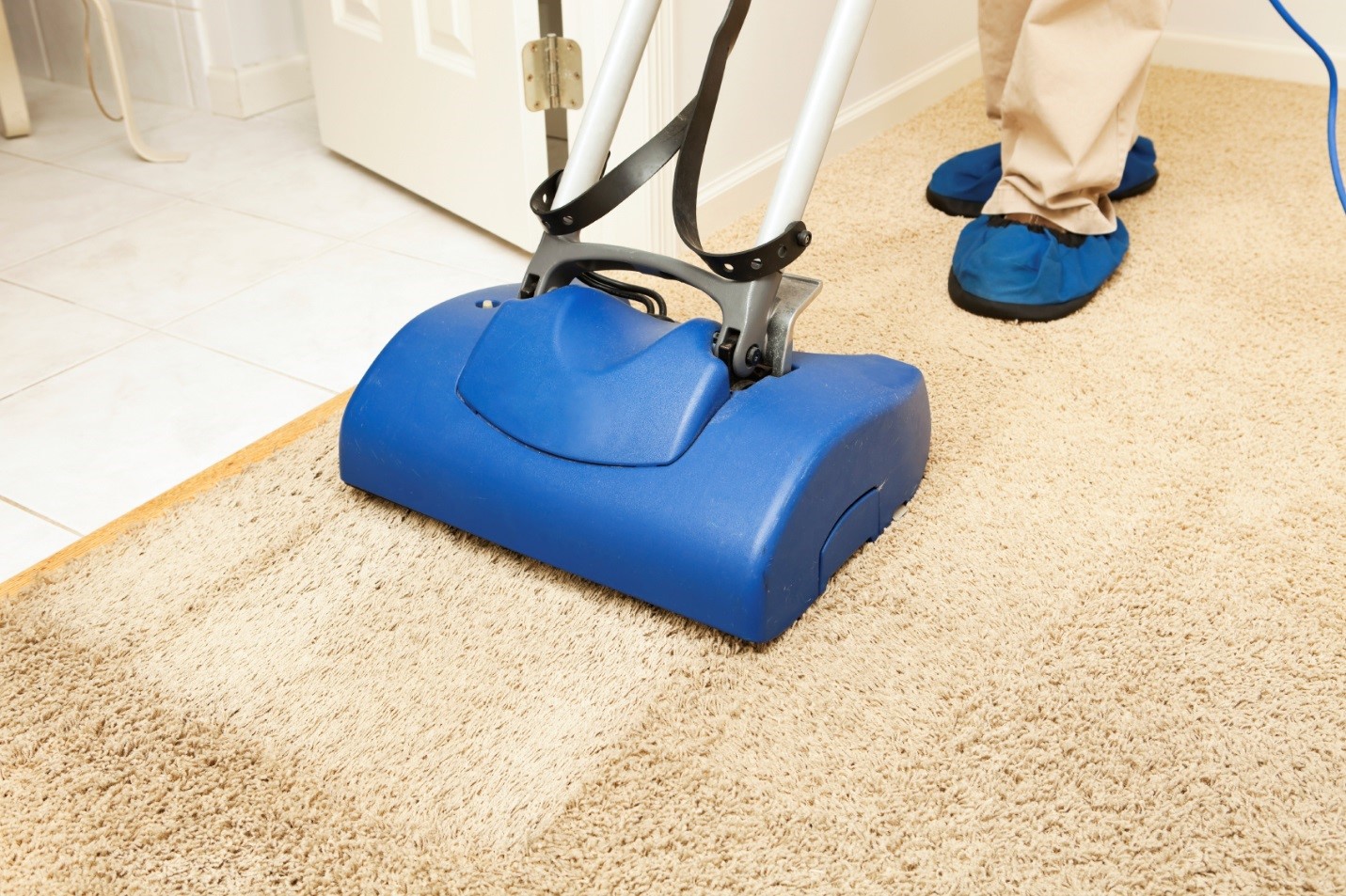 carpet cleaning companies in Nassau County