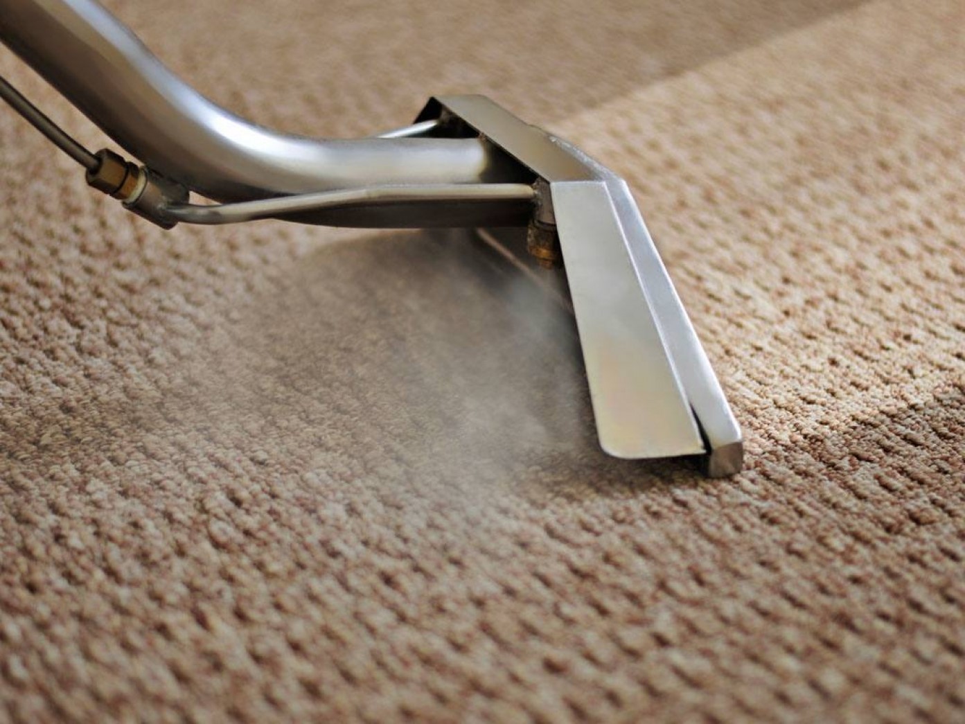 professionals-delivering-Long-Island-carpet-cleaning-services